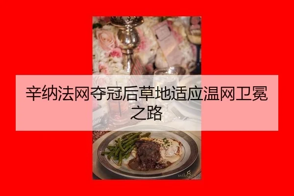 xin-na-fa-wang-duo-guan-hou-cao-di-shi-ying-wen-wang-wei-mian-zhi-lu-2-791.jpg