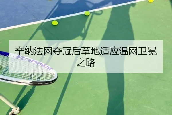 xin-na-fa-wang-duo-guan-hou-cao-di-shi-ying-wen-wang-wei-mian-zhi-lu-3-401.jpg