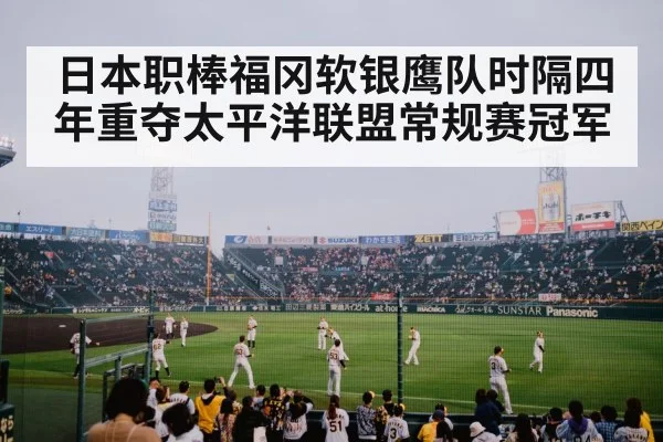 baseball fans celebrating